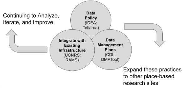 Project components